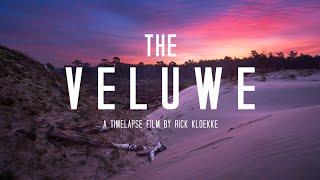 The Veluwe - A Timelapse Film - 4K