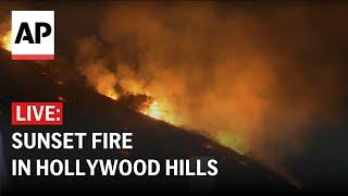 California wildfires LIVE: Sunset Fire erupts in Hollywood Hills