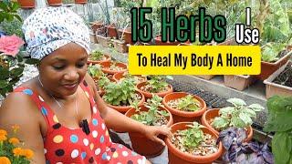 15 HERBS I Use To HEAL My Body At Home