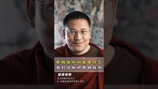 加措仁波切 Gyatso Rinpoche：格物致知到底是什么？我们该如何格物致知