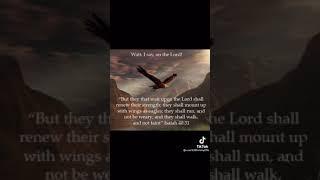 I Won't Let Go Susie Gonzalez