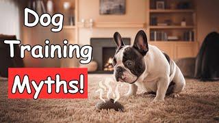 9 Common Dog Training Myths Debunked (STOP Training Your Dog Wrong!)