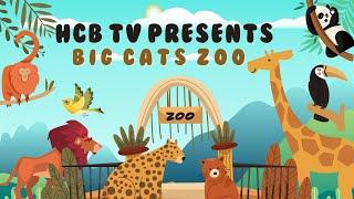 HCB TV PRESENTS || BIG CATS ZOO