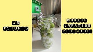 Making Japanese plum wine (Umeshu) #Shorts