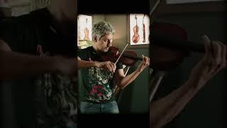 Violino Silvio Tua - Modelo Nicolò Amati | HPG Musical @calligop #shorts