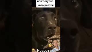 "Погулял"... называется 