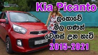 ලංකාවෙ KIA Picanto (2nd gen/ 2011-2017)  මිළ ගණන් වෙනස් උන හැටි ... Nippon Auto