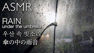 Rain under the umbrella (우산 속 빗소리/傘の中の雨音)