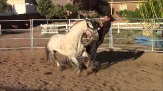 When Horses Attack Part 1, Mike Hughes, Auburn California