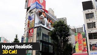 Hyper-realistic 3D cat appears on billboard outside Shinjuku station