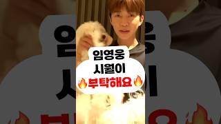 임영웅 시월이 부탁해신곡 컴백 콘서트 음원 영웅시대 영시 건행 실물 라방 잔망미 인성,뉴스,미담,어머니,할머니,여자친구,결혼 정규 앨범 영탁 장민호 정동원 이찬원 김희재 박서진