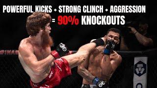 Elite Kicking in The UFC Shara "Bullet" Magomedov (Pro Striking Breakdown)