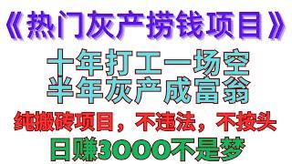 最新2024年网赚教程灰产项目，一个平台，买卡跑货月入5W+，安全跑分跑货，暗网2022年最稳网赚项目