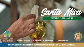 Eucaristía - Sábado  de la XXXII semana del Tiempo Ordinario  - 16/11/2024