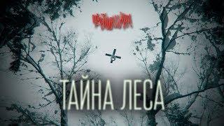 Проект "ЧЕРТОВЩИНА" - Тайна леса | ПАРАНОРМАЛЬНОЕ