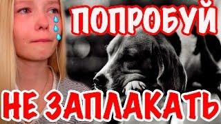 ПОПРОБУЙ НЕ ЗАПЛАКАТЬ ЧЕЛЛЕНДЖ | TRY NOT TO CRY CHALLENGE