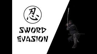 sword evasion techniques