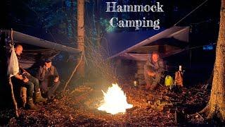 Hammock camping - UK Woodland