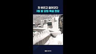 도로에 차 버리고 걸어가…3월 말 폭설 현장 #shorts