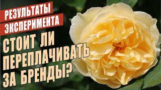 СТОИТ ЛИ ПЕРЕПЛАЧИВАТЬ ЗА БРЕНДЫ? РЕЗУЛЬТАТЫ ЭКСПЕРИМЕНТА