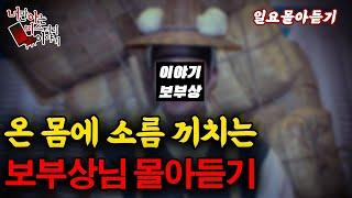 일요몰아듣기│청량한 목소리 이야기보부상님의 소름 끼치는 이야기 모음  [ 너만 아는 미스테리 한 이야기,시청자사연,공포라디오]