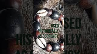 The Mystique of Cowrie Shells