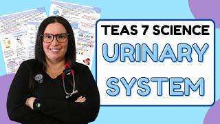 2024 ATI TEAS 7 Science Anatomy and Physiology Urinary System with Nurse Cheung