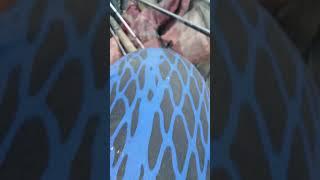 20lb test vs garzilla trinity river