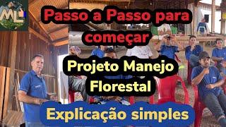 Como e feito o Projeto de Manejo? O Que é Projeto de Manejo Florestal?