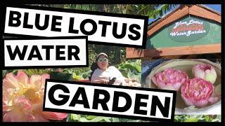 Vlog Tuesday : Lotus Garden | Life with Lian