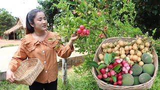 Have you ever eaten these fruits before? Yummy sour fruits I harvest for my recipe - Country chefs