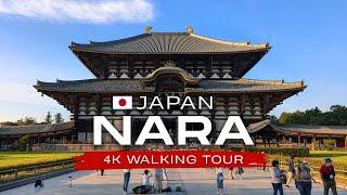 Nara, Japan 4K Walking Tour  Nara Park with Deers, Temples & Beautiful Nature 奈良