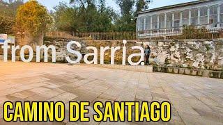 Walking the Camino de Santiago from Sarria, the last 100 km