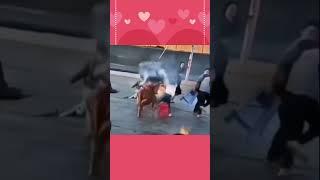 pls beware of fire#sfa#creators