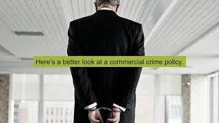 A Closer Look at Commercial Crime Insurance