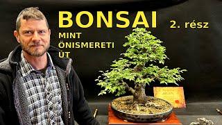 A bonsai, mint önismereti út - 2. rész: beszélgetés Gellai Zoltánnal - Rinzai Bonsai műhely