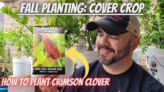 How to Plant Crimson Clover, A Great Cover Crop || Down-Home Backyard Gardening