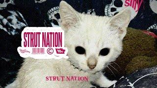 tisakorean - sTrUt nAtIoN (official visualizer)