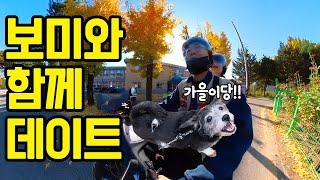 Korean dating culture with puppies