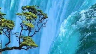 Spectacular Waterfall Niagara Falls #nature #shorts