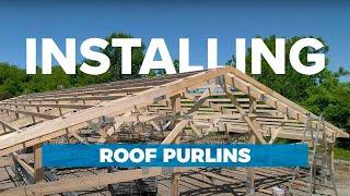 Pole Barn Roof Purlins: Installation Options