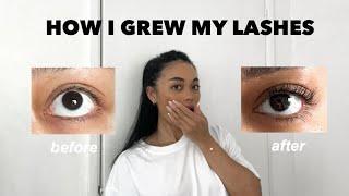 I GREW MY LASHES IN 1 MONTH *REAL RESULTS*