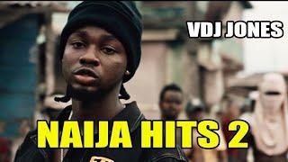 VDJ Jones - Naija 2 | Afrobeat Mix |Joeboy|Omah Lay|Guchi|Ruger| Burna boy| Dior|Ameno|Fireboy