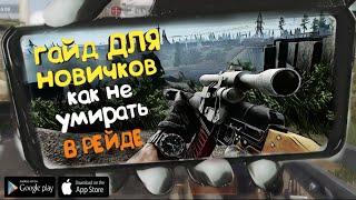 ГАЙД ДЛЯ НОВИЧКОВ. КАК НЕ УМИРАТЬ В РЕЙДЕ. arena breakout