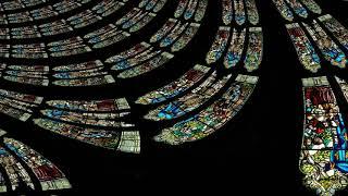 Fractal Montreal VJ Loop Mashup - Minimal Techno Visual - Compilation 1
