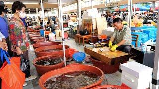 손바닥만한 전어 막회부터 200키로 참치까지 커팅 스킬 ! | Amazing ! Fish Cutting Master ! | Korean Street Food