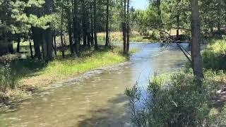 TJ’s Woodcarving Art & Pine Creek in Pinedale, WY