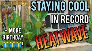 Papa, Plants, Chickens and I Surviving Heatwave + More Birthday Prezzies! - Ann's Tiny Life