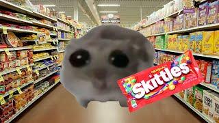 Skittles meme Sad Hamster