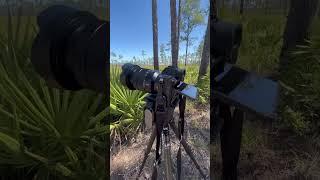 We use a lot of different types of cameras to help us tell stories about conservation!⁠